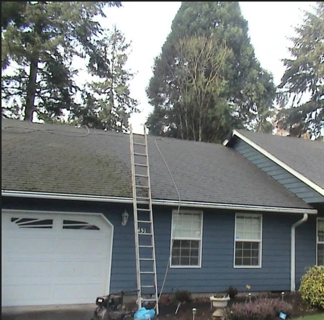 Moss removal treatment applied to residential roof in Oregon