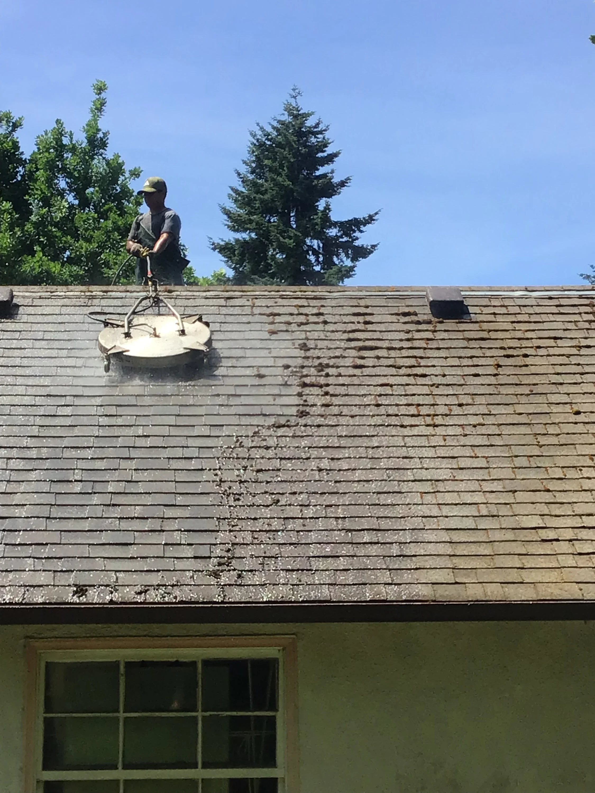 Technician pressure washing asphalt shingle roof to remove moss and algae buildup