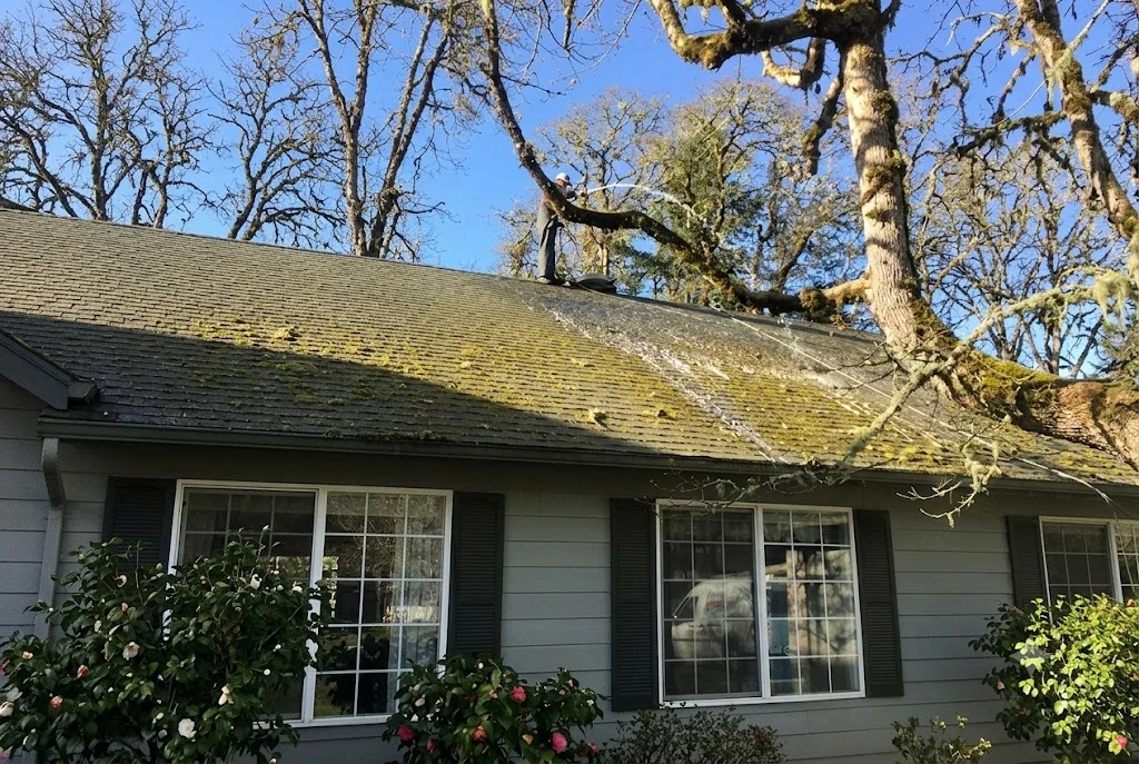 Asphalt shingle roof with moss and algae removal, gray shingles, residential home